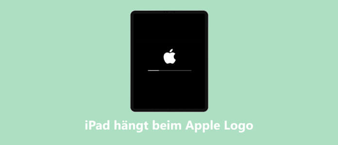 iOS 11 Probleme: iPhone/iPad hängt beim Apple Logo
