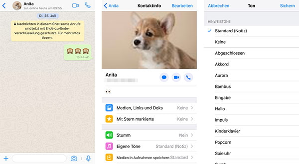 Klingeltöne für WhatsApp auf iOS ändern