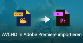 AVCHD in Adobe Premiere importieren