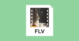 FLV-Datei