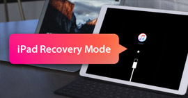 iPad im Recovery-Mode