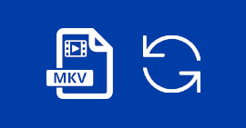 MKV Audio Converter
