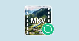 MKV Converter