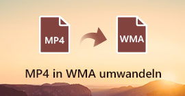 MP4 in WMA umwandeln