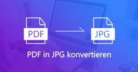 PDF in JPG umwandeln