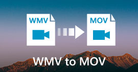 WMV to MOV Converter