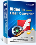 Video in Flash Konverter box