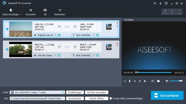 Video in den Converter laden