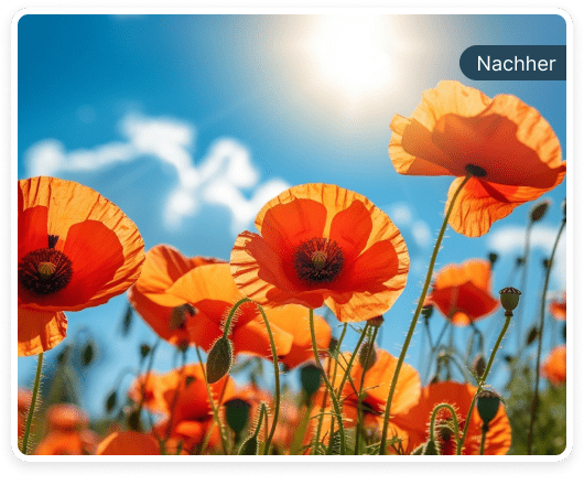 Scharfe Bilder
