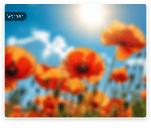 Unscharfe Bilder
