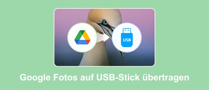 Google Fotos auf USB-Stick übertragen