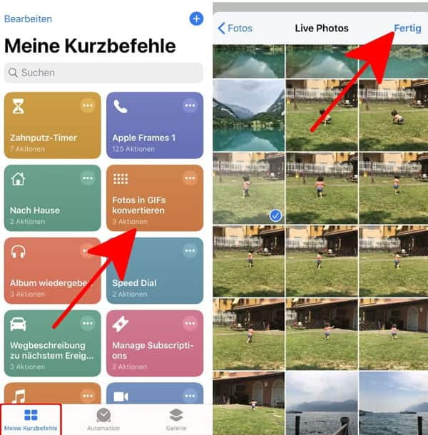 Live Fotos in GIF konvertieren