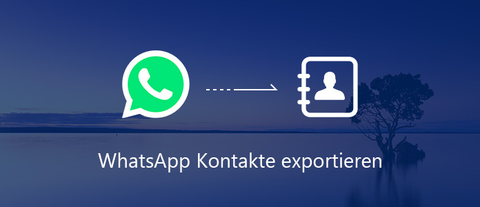 WhatsApp Kontakte exportieren