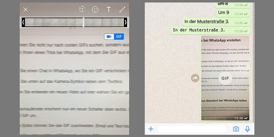 GIFs bei WhatsApp erstellen