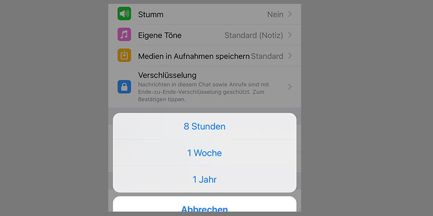 WhatsApp-Kontakte stumm schalten