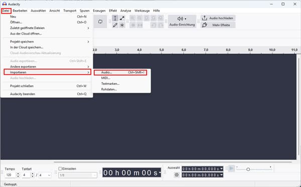 Audio in Audacity laden