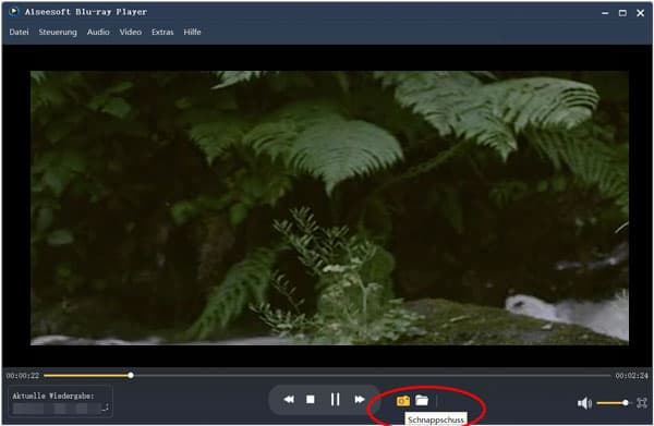 Screenshot aus Video erstellen mit Aiseesoft Blu-ray Player