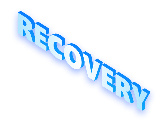 Data Recovery