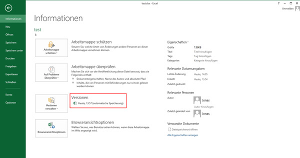 Excel Versionen verwalten