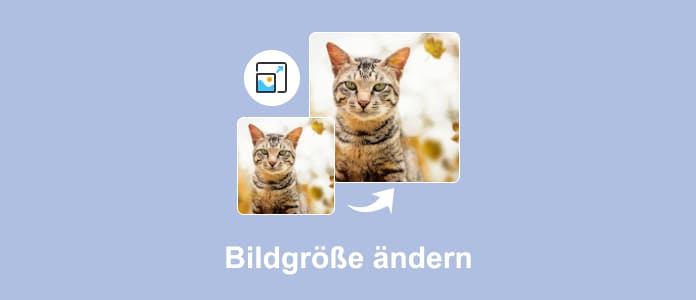 Bildgröße ändern