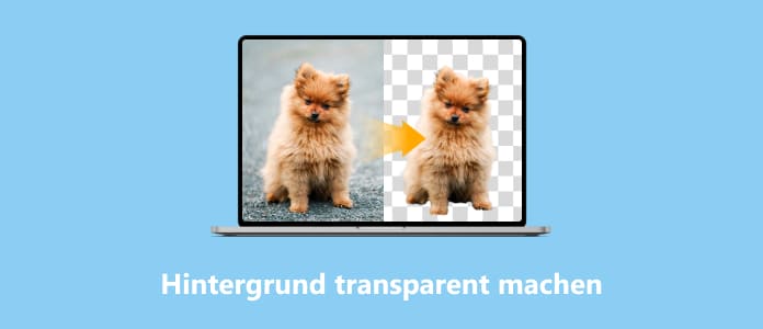 Hintergrund transparent machen