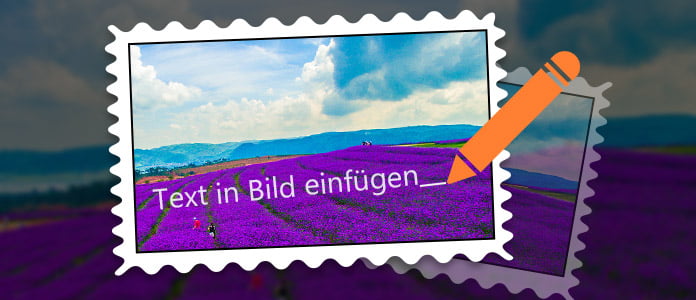 Bild In Video Einfugen Freeware