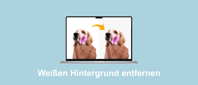 Weißen Hintergrund entfernen