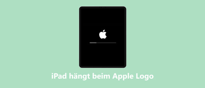 iPad hängt beim Apple-Logo