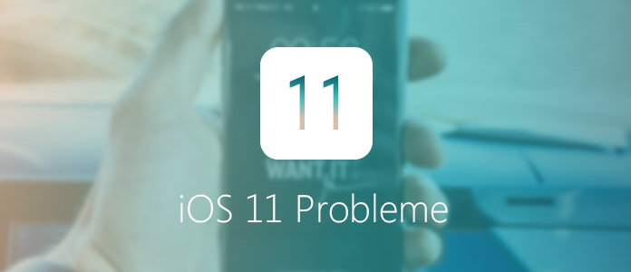iOS 11 Probleme