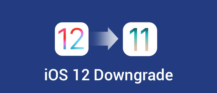 iOS 12 Downgrade