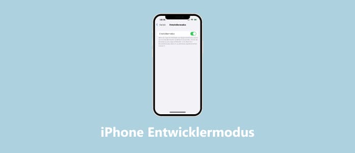 iPhone Entwicklermodus