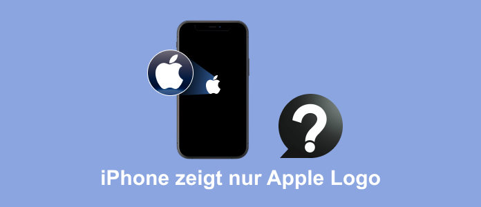 iPhone zeigt nur Apple Logo