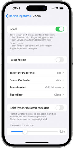 iPhone-Zoom deaktivieren
