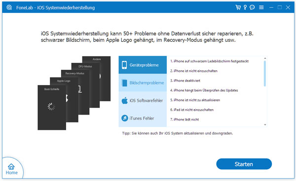 iOS Systemwiederherstellung auswählen