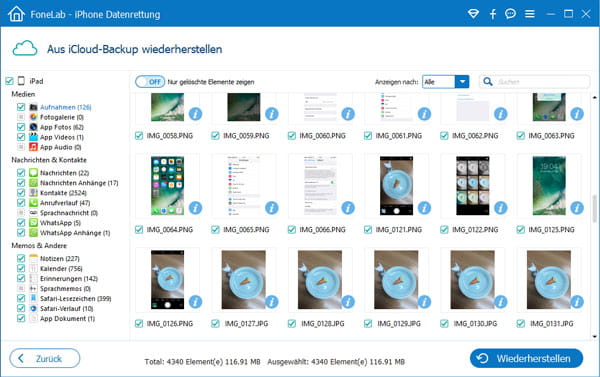 iPad Fotos wiederherstellen