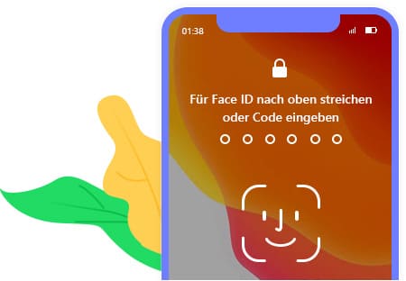 Touch ID/Face ID funktioniert nicht