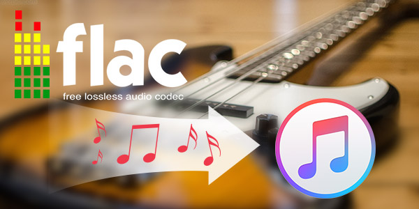 FLAC in iTunes importieren