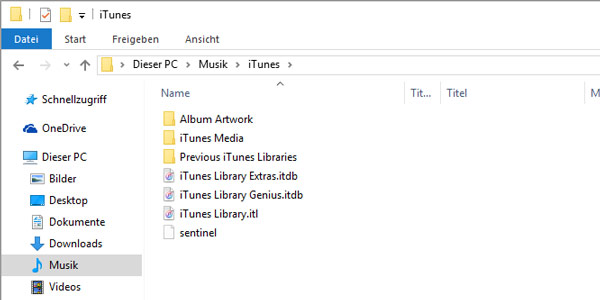 iTunes Media Order auf Windows