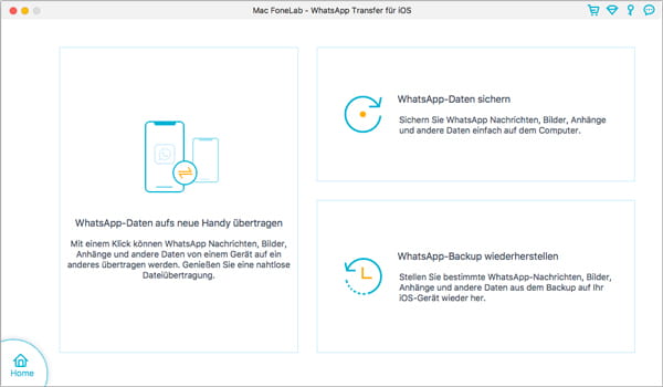 WhatsApp Transfer starten