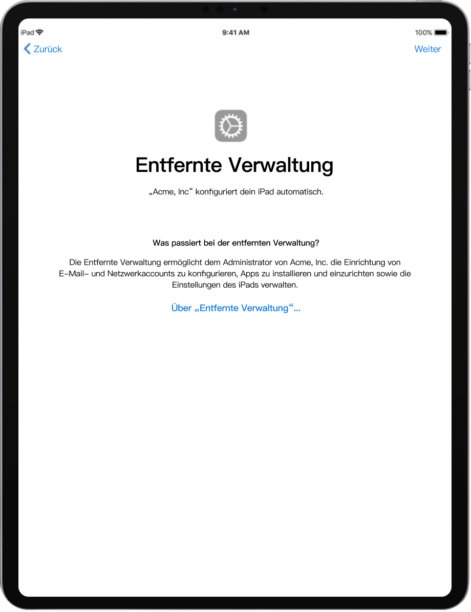 iPad