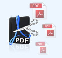 split PDF file