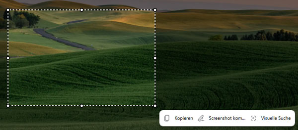Screenshot im Microsoft Edge erstellen