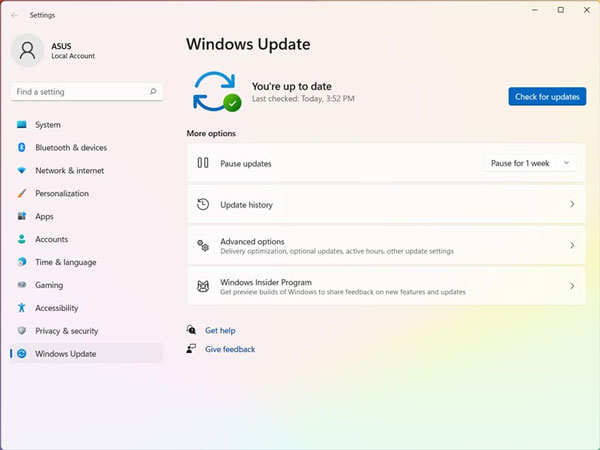 Windows 11 Update durchführen