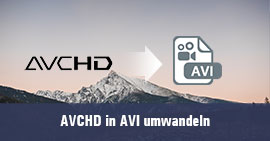 AVCHD in AVI umwandeln