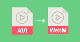 AVI to WebM Converter