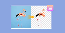 BG Remover