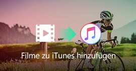 Filme zu iTunes hinzufügen