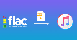 FLAC Dateien in iTunes hinzufügen