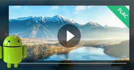 Android FLAC Player