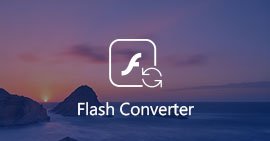 Flash Converter